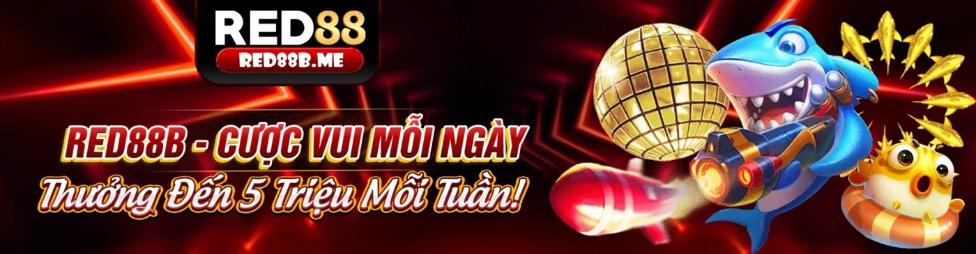 Các nguyên tắc GDPR được xx88 link vào tuân thủ